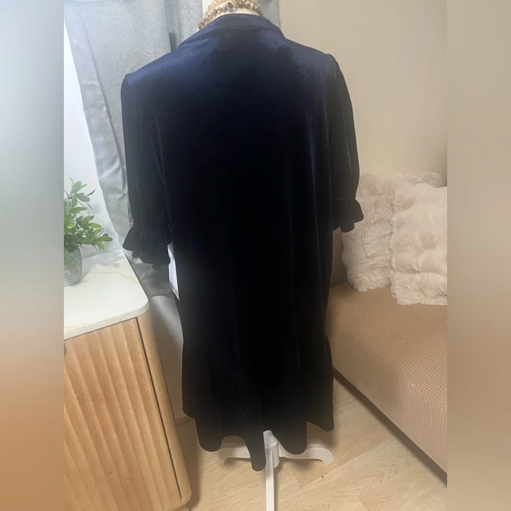 Velvet dress - Picture 4 of 8